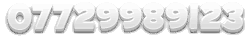 07729989123